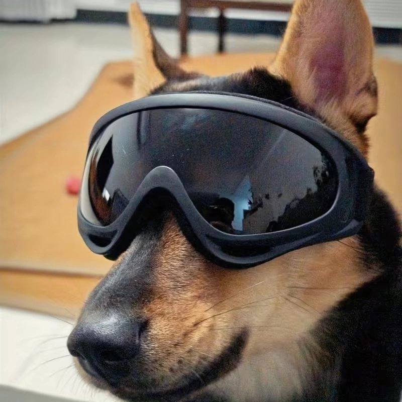 Adjustable Dog Goggles for Wholesale