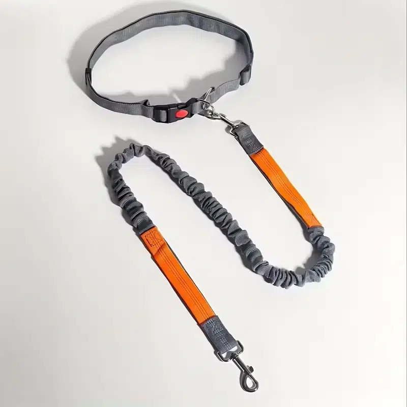 Adjustable Hands Free Dog Leash for Wholesale