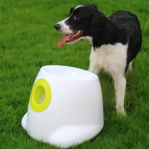 Automatic Ball Thrower for Dogs