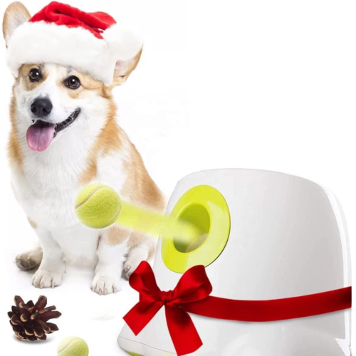 Automatic Ball Thrower for Dogs