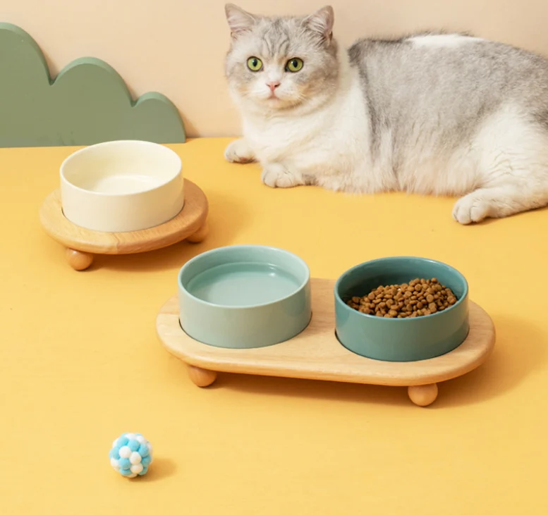 Best Cat Bowls