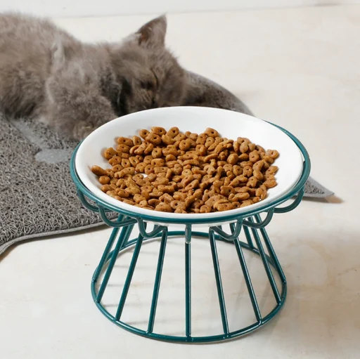 Best Elevated Cat Bowls