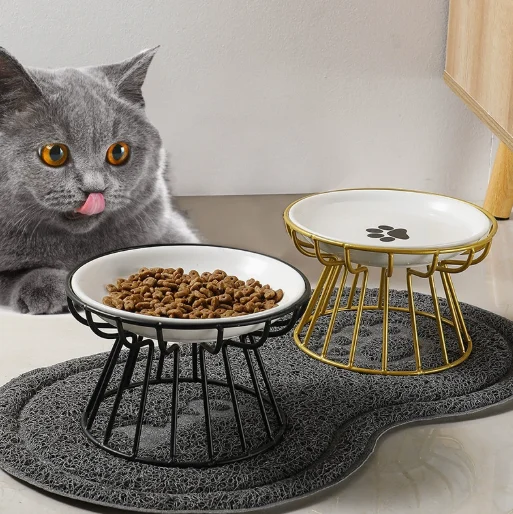 Best Elevated Cat Bowls