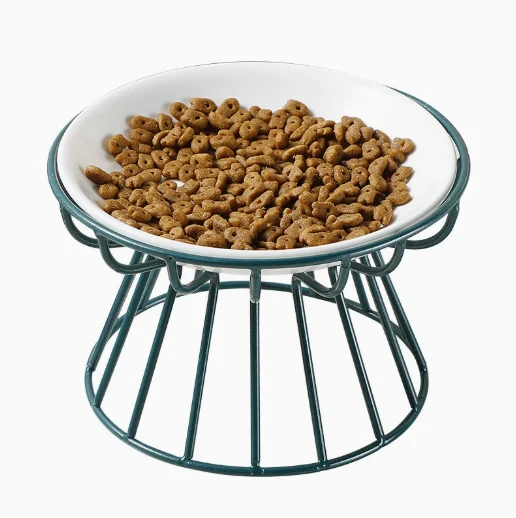 Best Elevated Cat Bowls