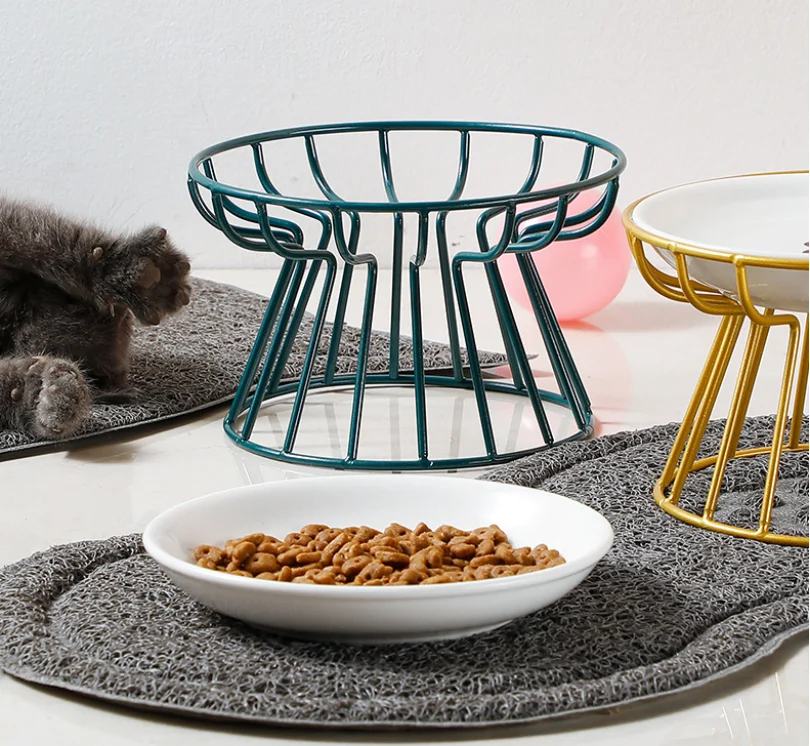 Best Elevated Cat Bowls