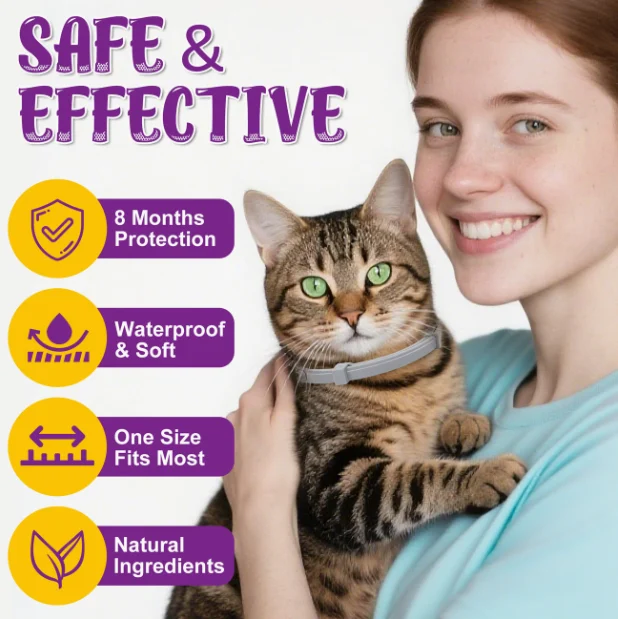 Best Flea Collar For Cats