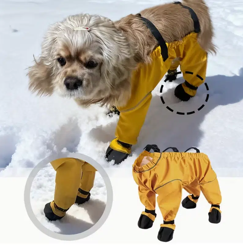 Dog snowsuit