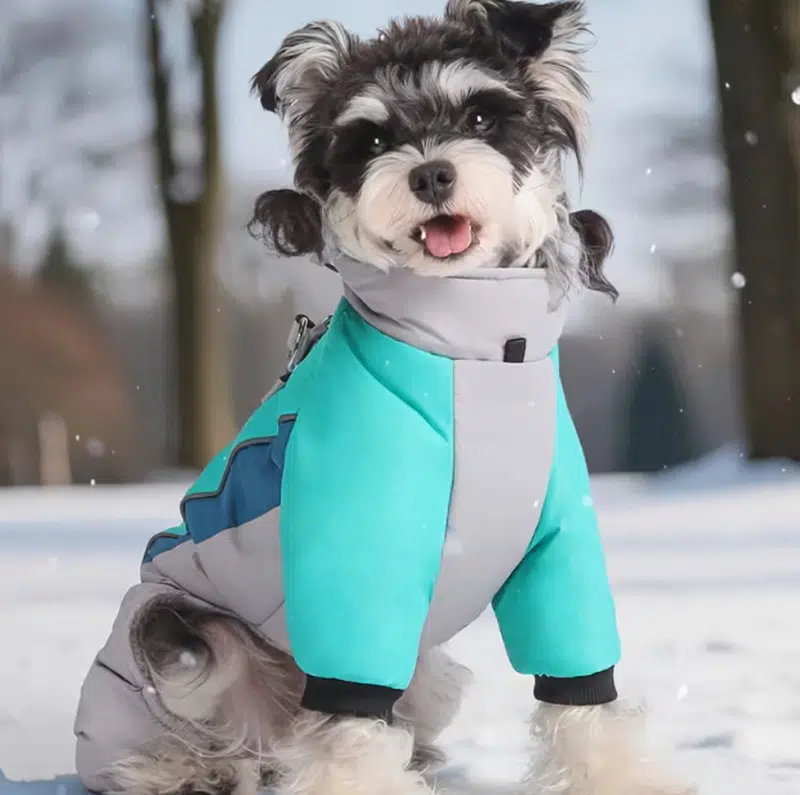 Reflective dog coat - Image 5