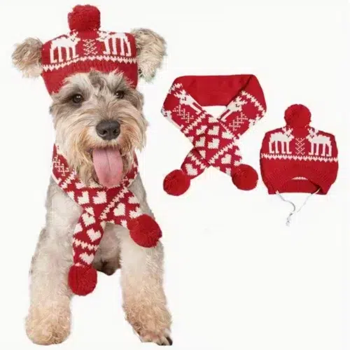 Dog Christmas Hat And Scarf