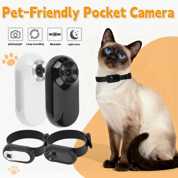 Camera On Cat Collar