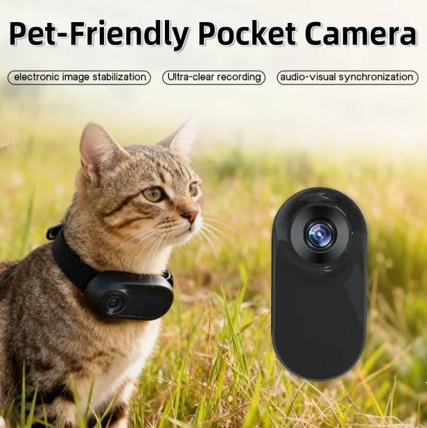 Camera On Cat Collar