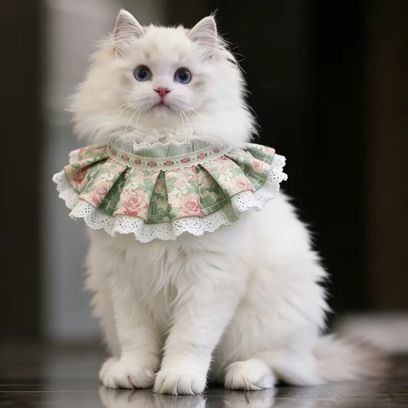 Cat Bib