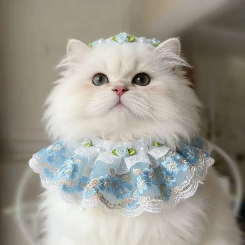 Cat Bib