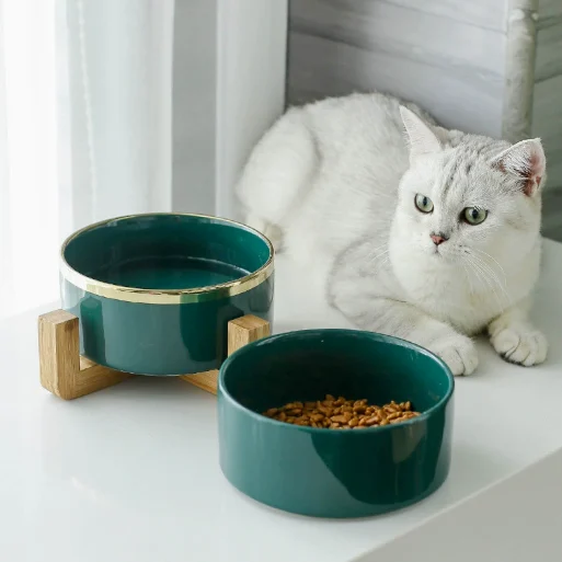 Cat Bowls Ceramic