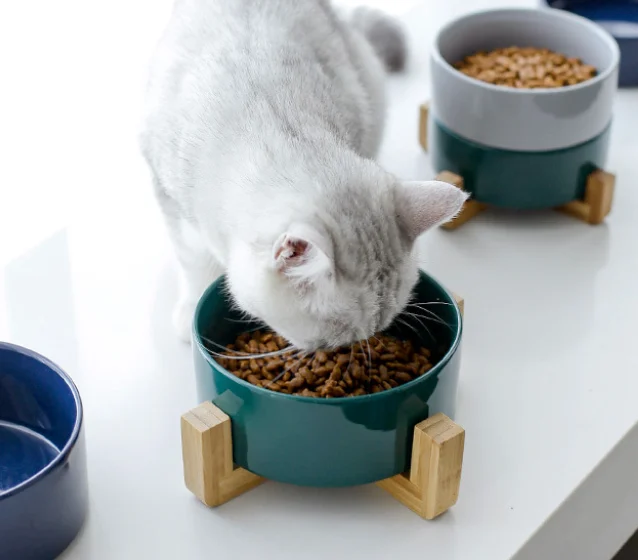 Cat Bowls Ceramic