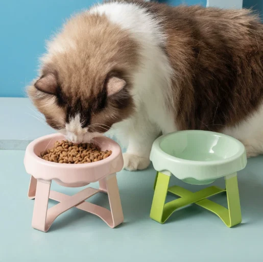 Cat Bowls Elevated