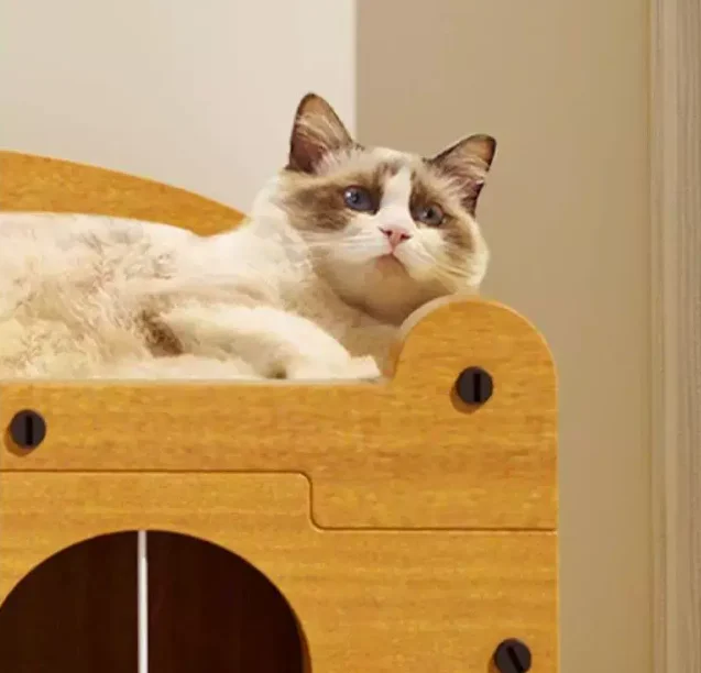 Cat Houses Indoor