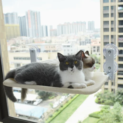 Cat Window Perch