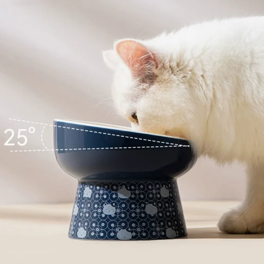 Ceramic Cat Bowls