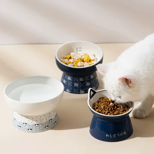 Ceramic Cat Bowls