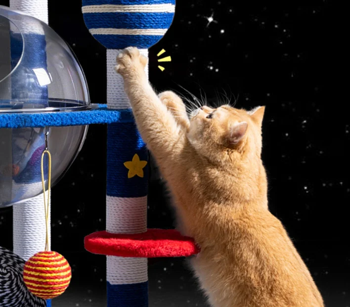 Cool Cat Trees