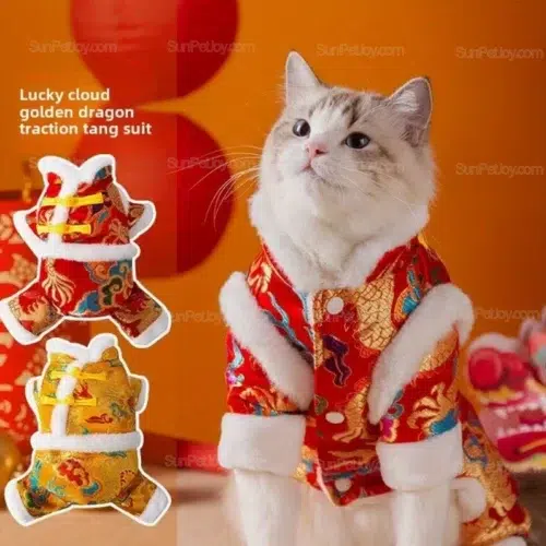 Custom Chinese New Year Dragon Cat Tang Suit