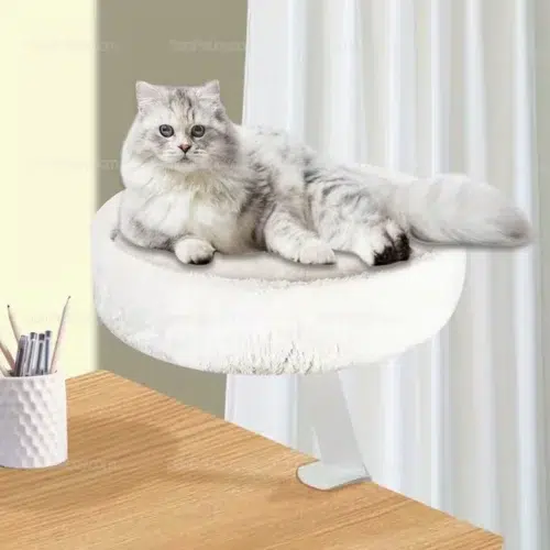 Custom Desk-Mounted Cat Bed with Removable Washable Cushion