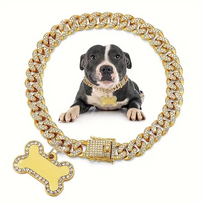 Custom Dog Collars - Image 3