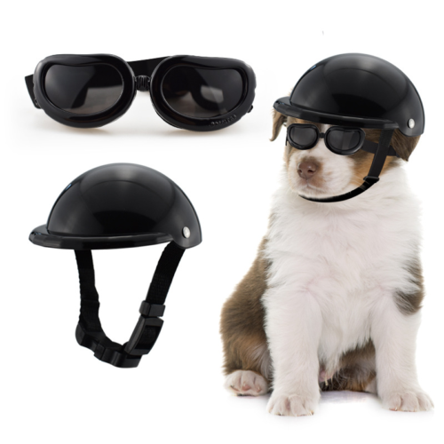Custom Dog Helmet with Adjustable Chin Strap System