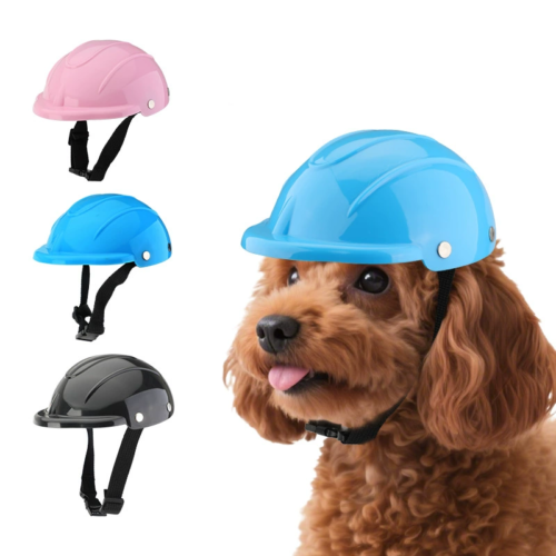 Custom Dog Helmet with Adjustable Chin Strap System
