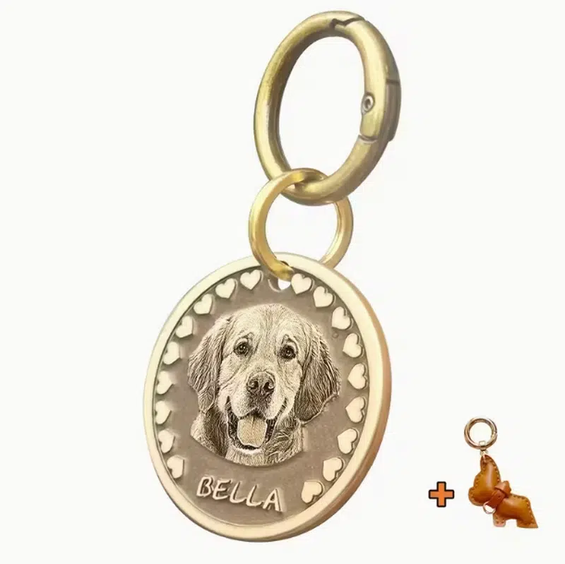 Custom Engraved Dog Nameplates for Bulk Orders - Image 8