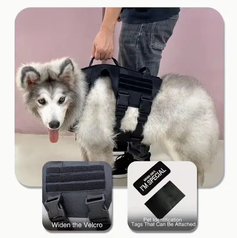 Dog Harness With Handle - Image 5