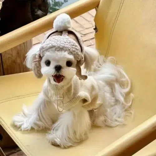 Custom Retro Pet Aviator Beanies in Warm Wool Blend