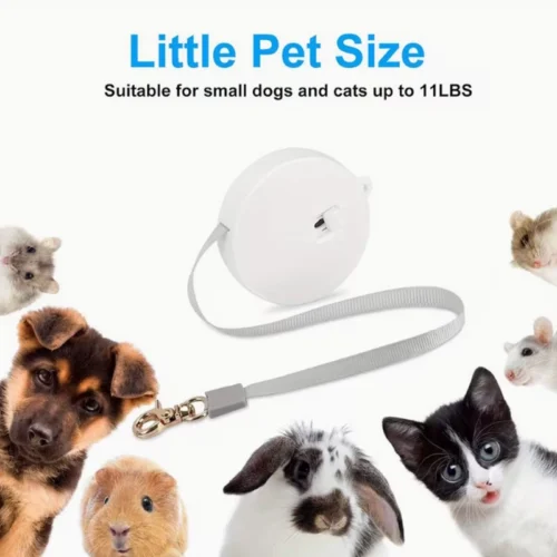 Custom Small-Pet Retractable Leash, Stable 2m Extension