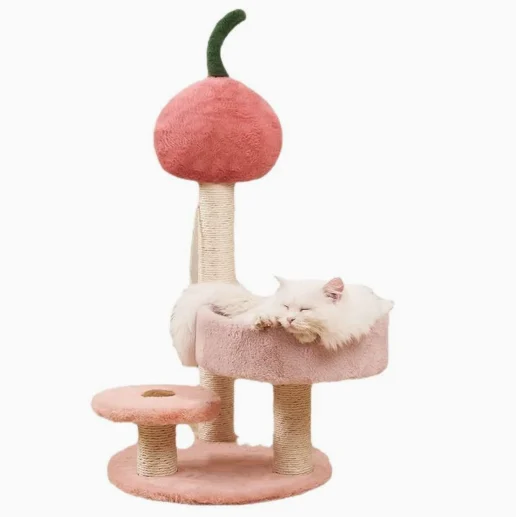 Cute Cat Trees
