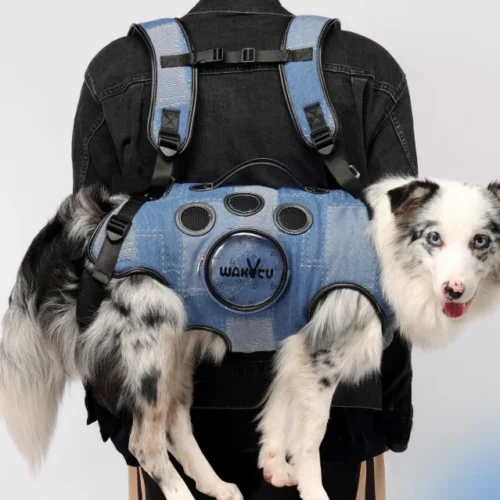 Dog Backpack Carrier