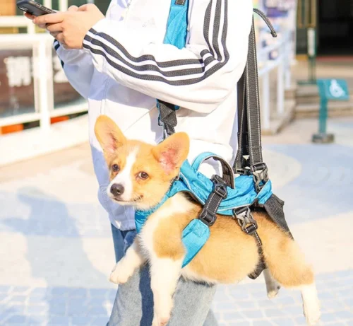 Dog Backpack Carrier