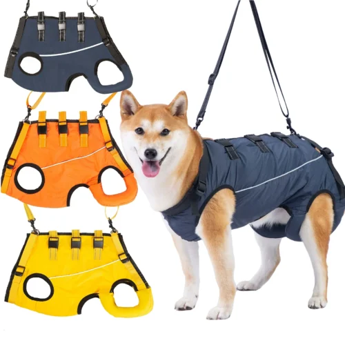Dog Backpack Carrier