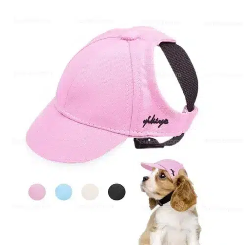 Dog Baseball Cap