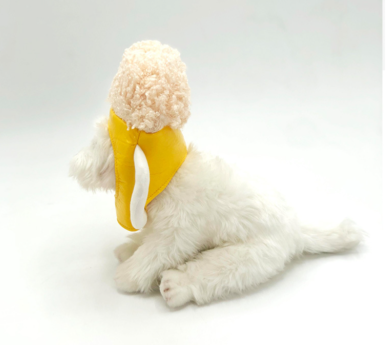 Dog Beer Hat