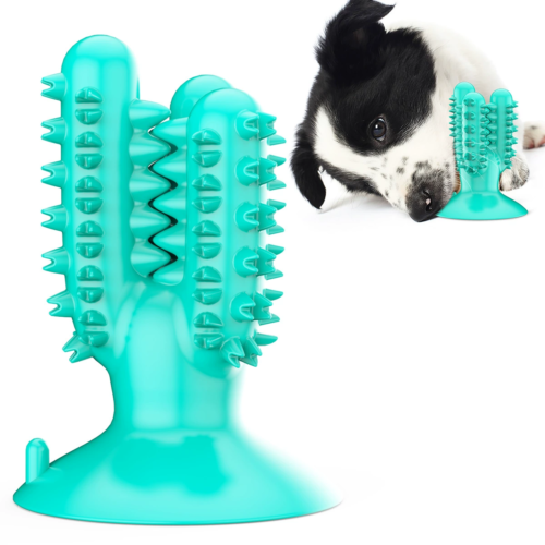 Dog Chew Toys