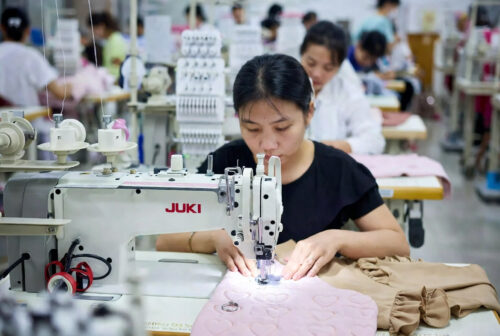 Dog Coats for Small Dogs