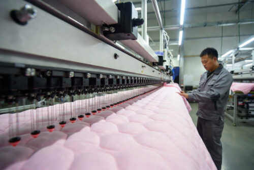 Dog Coats for Small Dogs