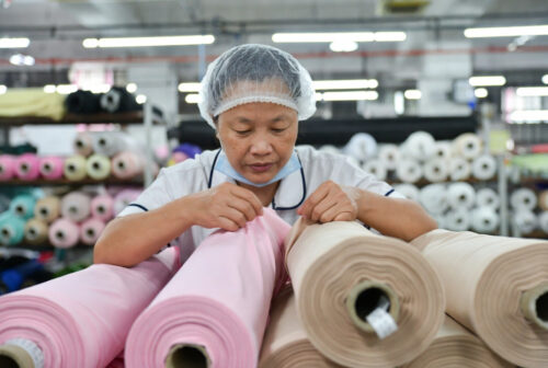 Dog Coats for Small Dogs