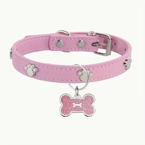 Dog Collar With Name