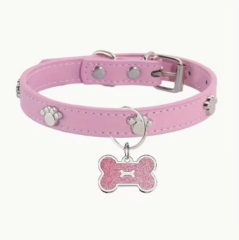 Dog Collar With Name
