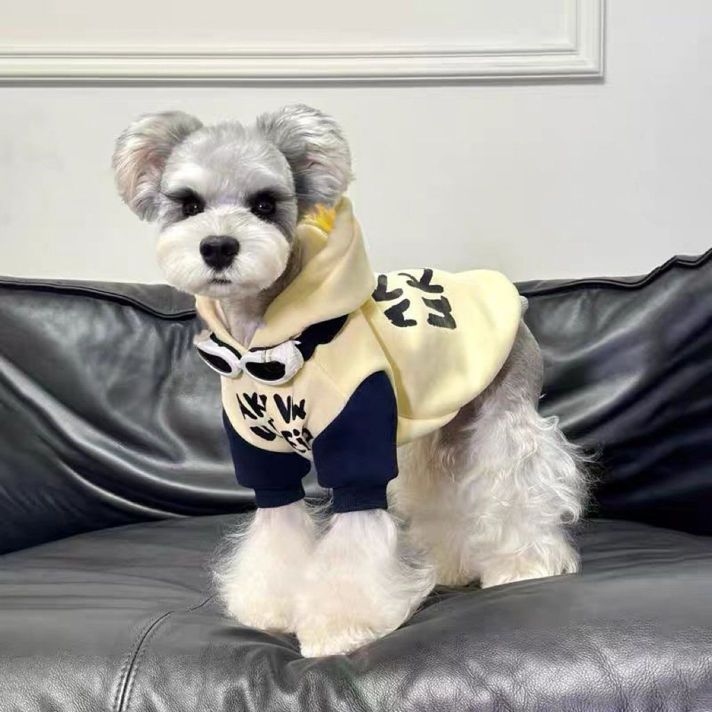 Dog Embroidered Sweatshirt