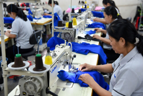 Dog Embroidered Sweatshirt 