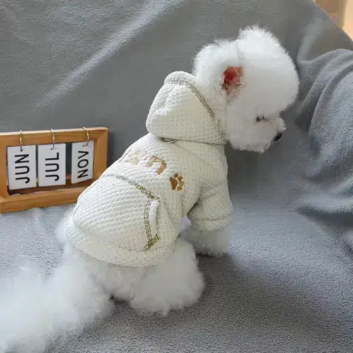 Dog Embroidered Sweatshirt