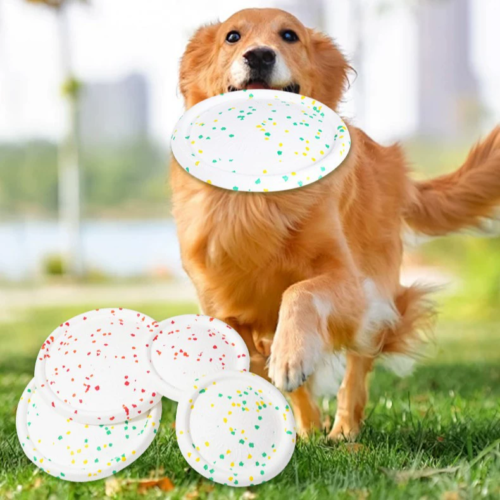 Dog Frisbee